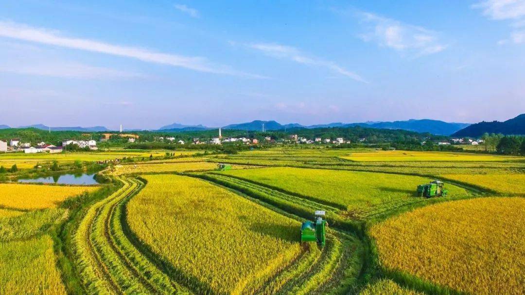 今日尿素价格<strong></p>
<p>btc价格今日行情</strong>，集体“大幅”上涨！11月11日尿素行情