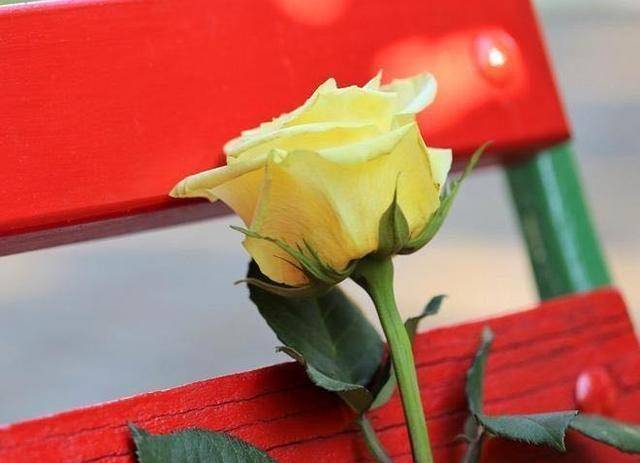 LifeInsights：四种人格特质<strong></p>
<p>建行贵金属有几种</strong>，你有几种？