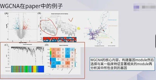 数据挖掘及R语言入门到精通全套视频<strong></p>
<p>贵金属入门全套教程</strong>！视频教程+讲义（3GB资源）