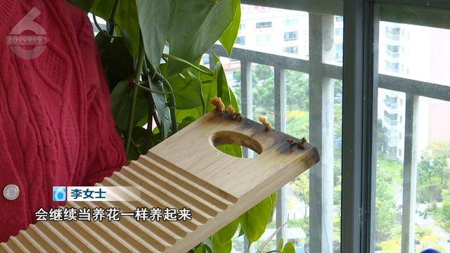 “可以蒸蛋”！昆明一女子家中搓衣板上长菌<strong></p>
<p>江西启元贵金属</strong>，品种竟是……