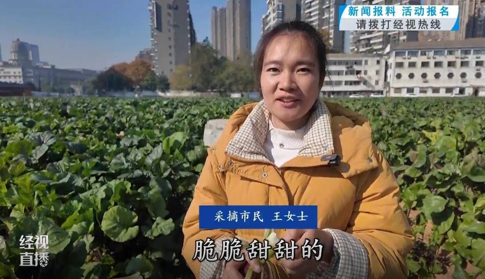 武汉人爱吃！最高1000元一斤<strong></p>
<p>btc币安</strong>，供不应求
