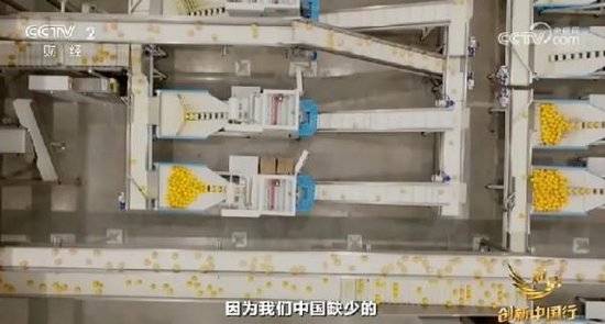 2024年末央视再度专访钟睒睒<strong></p>
<p>btc挖矿软件</strong>，背后有何深意？