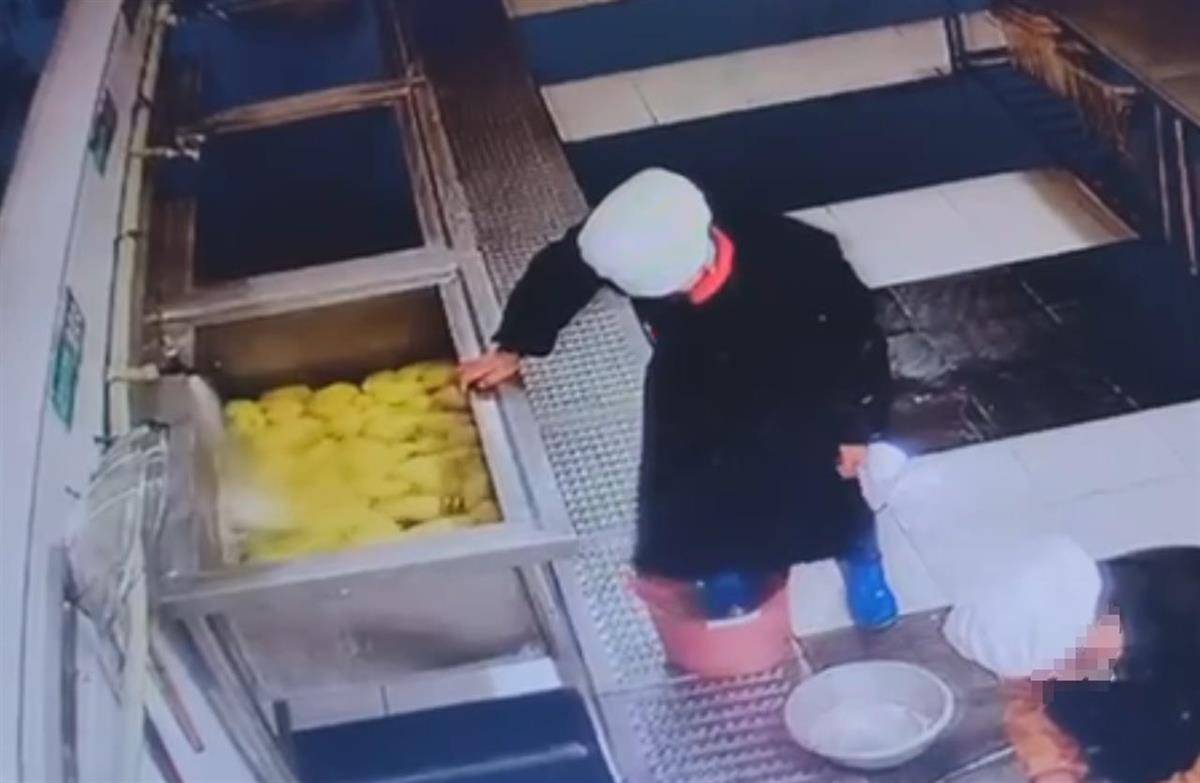 食堂人员用脚踩食材<strong></p>
<p>btc比特币钱包</strong>，江西新余十六中校长被免职，市监局：举一反三保障食品安全