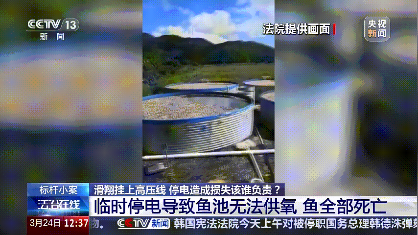 深圳女子被挂高压线！停电救援<strong></p>
<p>泰达币交易</strong>，9池鱼死光！他怒上法庭……