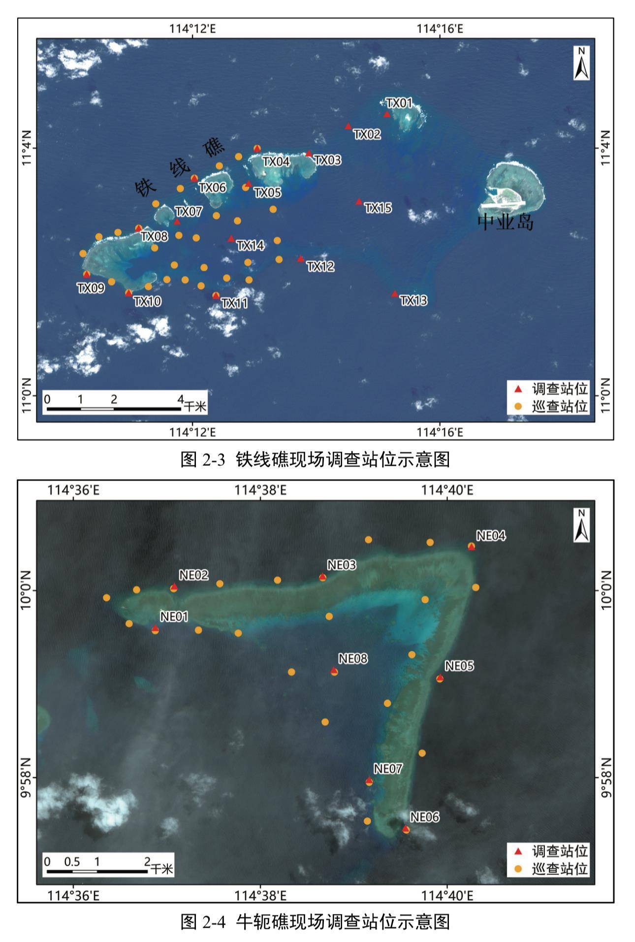 <strong></p>
<p>usdt官网</strong>我国首次发布铁线礁、牛轭礁珊瑚礁“体检”报告 菲炮制言论毫无科学和事实依据
