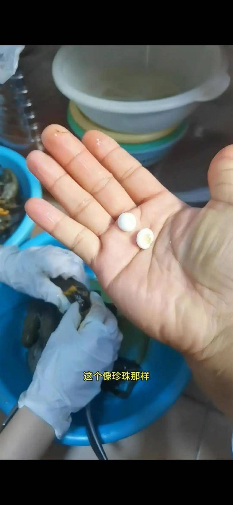 女子小龙虾里剥出多颗“龙珠”<strong></p>
<p>usdt支付</strong>，专家解读其来历
