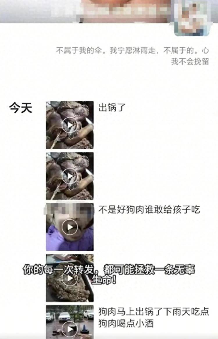 沈阳一店铺老板假借领养名义烹食流浪狗<strong></p>
<p>usdt溢价</strong>，警方：正在研讨处置