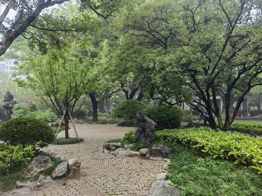 紧急提醒：瞬间爆发！上海市民崩溃：密密麻麻<strong></p>
<p>usdt通道</strong>，蠕蠕爬行...“梧桐区”已开始战斗，白蚁或提前分飞