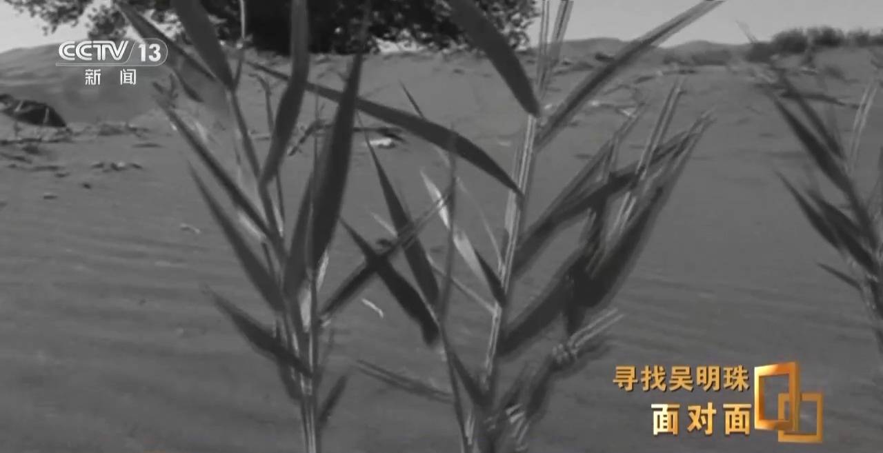 面对面丨中国人的吃瓜自由要感谢她<strong></p>
<p>以太坊交易</strong>！吴明珠说她的一生就是结几个好瓜献给人民