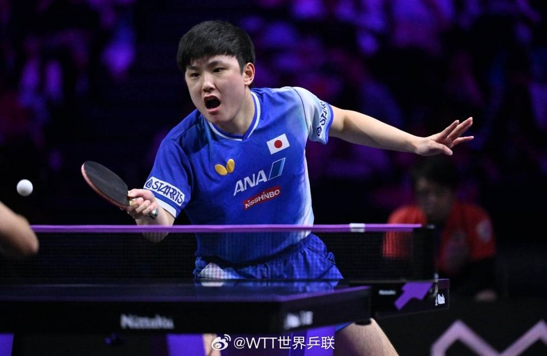 横滨冠军赛张本智和晋级男单决赛，将与王楚钦vs莫雷加德的胜者争冠，赛后回应