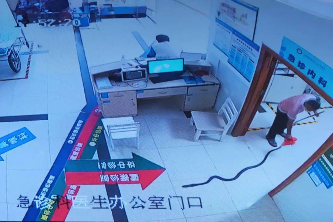 眼镜王蛇咬伤老人<strong></p>
<p>以太坊币行情</strong>，家属拖两米多长的“凶手”冲进医院！“拎蛇就医”可取吗？