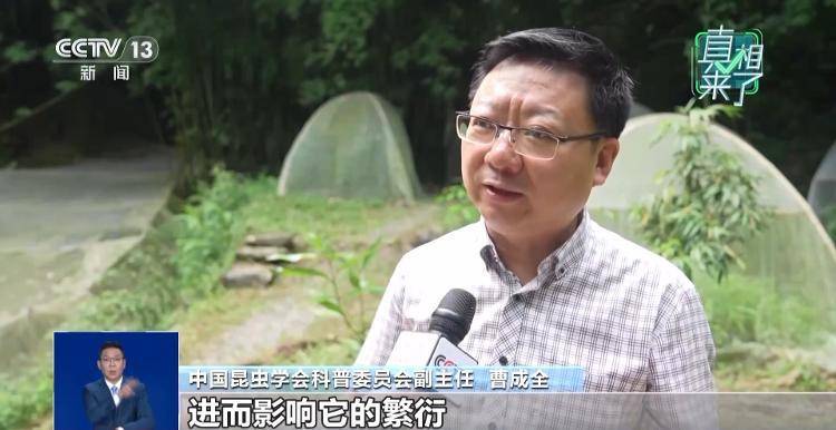 网传萤火虫濒临灭绝<strong></p>
<p>以太坊官网</strong>，是真的吗？