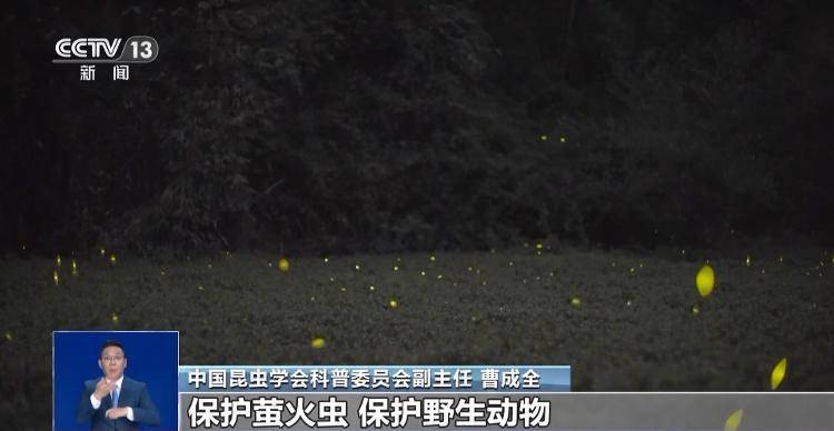 网传萤火虫濒临灭绝<strong></p>
<p>以太坊官网</strong>，是真的吗？