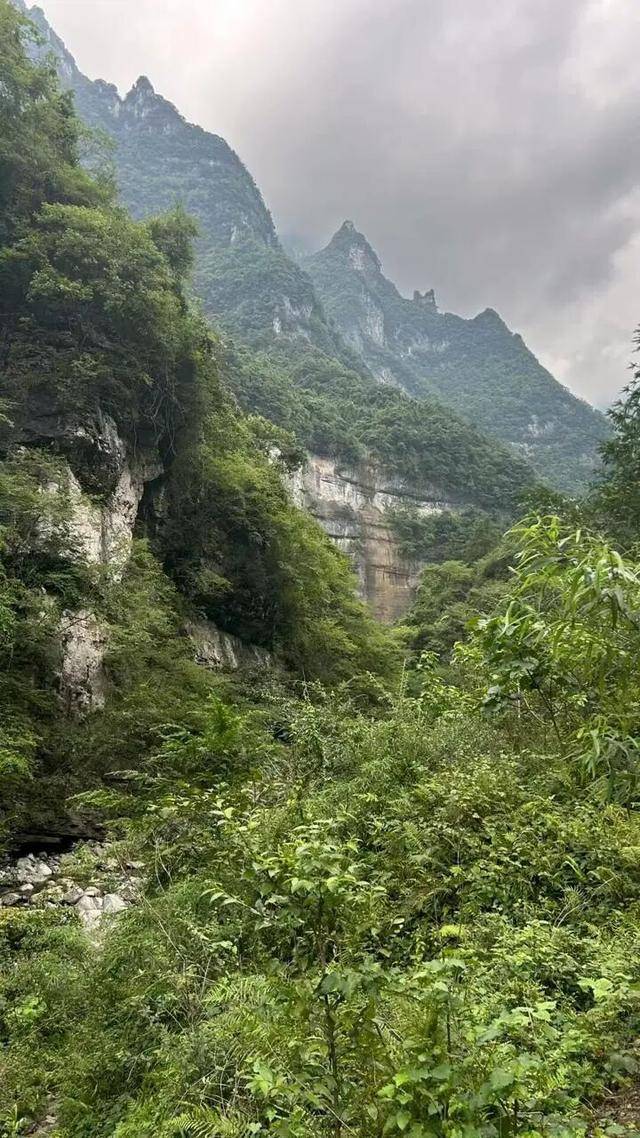 90后杨东东夺得荒野求生挑战赛冠军<strong></p>
<p>以太坊技术</strong>，每顿饭都会吃点老鼠，获10万奖金，比赛前后对比照曝光
