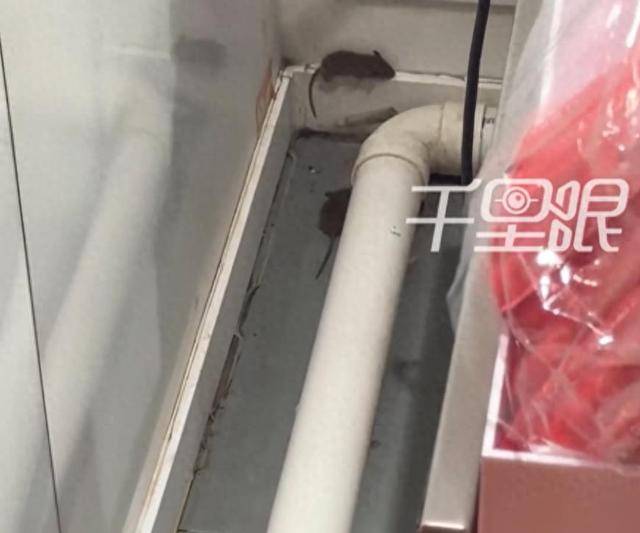 网曝蜜雪冰城一门店有多只老鼠横行<strong></p>
<p>以太坊交易平台</strong>，涉事门店员工回应