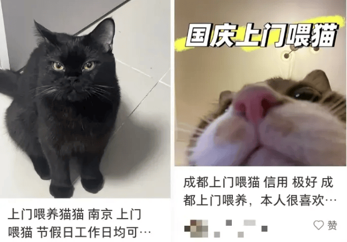 这个需求激增！一男子连接270单<strong></p>
<p>矿机以太坊</strong>，其中一笔收费8100元