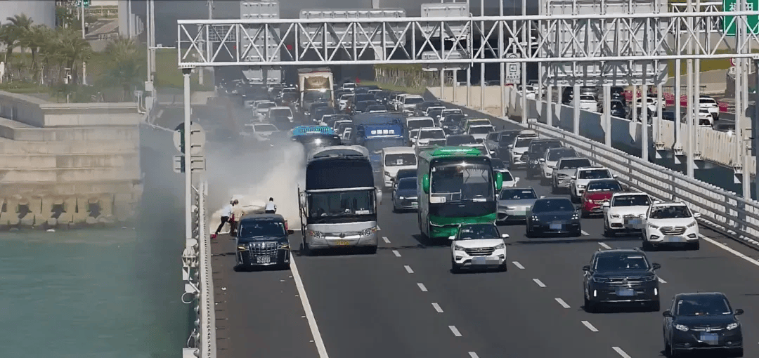 粤B·97821D、粤Z·AG85澳、粤T·91736<strong></p>
<p>矿机以太坊</strong>，你们被拍下来了！