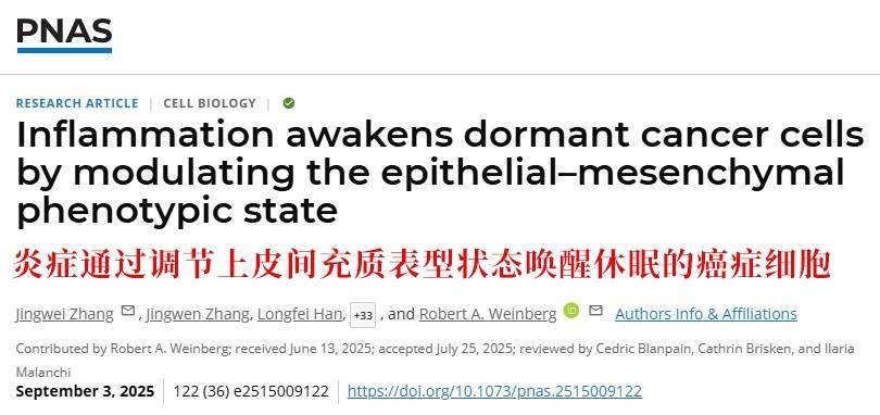 长期炎症会“唤醒”癌细胞<strong></p>
<p>矿机以太坊</strong>！这份抗炎指南每个人都该看看