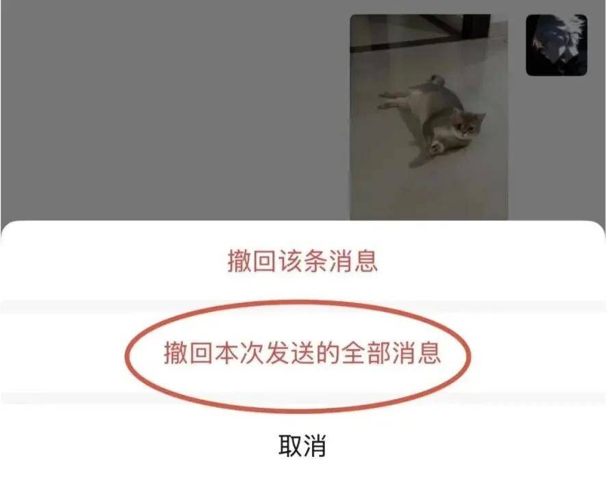 传宗馥莉被带走<strong></p>
<p>以太坊社区</strong>，娃哈哈董事会成员回应；资深天使投资人因车祸不幸离世；微信灰度测试一次性撤回全部消息；鸡排哥疑似成立工作室丨邦早报
