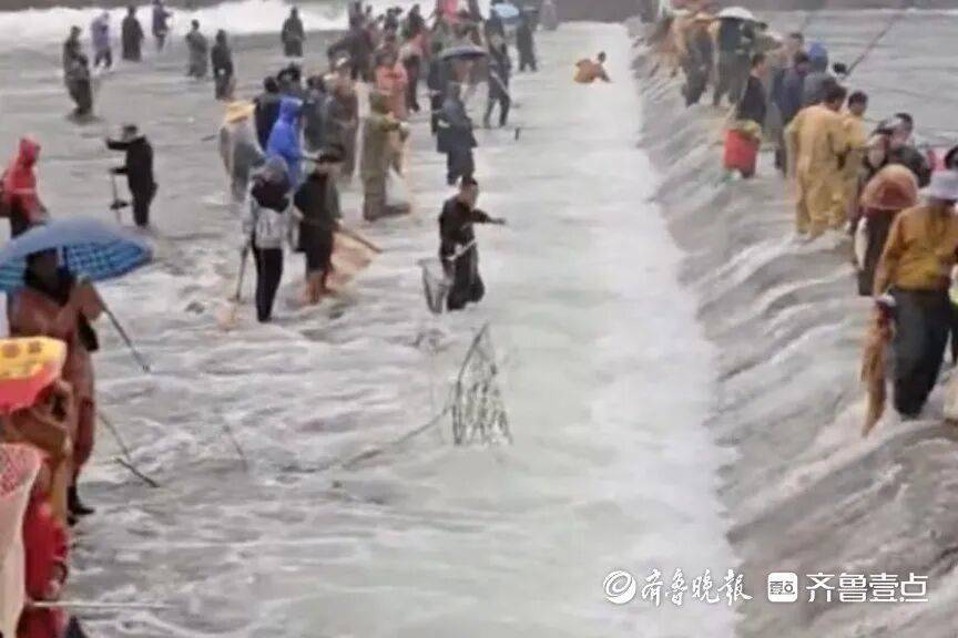 “鱼多得数不过来<strong></p>
<p>Eth价格</strong>，一网子下去能捞好几条”济南锦绣川水库开闸放水，大量鲢鱼被冲出，工作人员：禁止捕捞！
