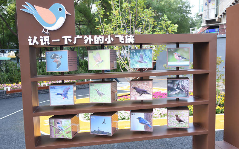 西城区广外街道：“断头路”变身口袋公园<strong></p>
<p>eth币</strong>，装满民生“微幸福”