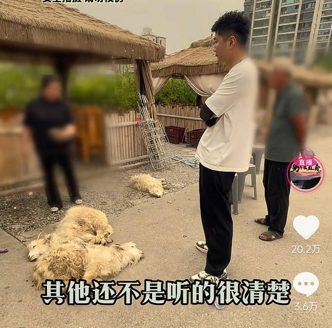 60斤活羊实际只有30多斤<strong></p>
<p>eth钱包</strong>！博主打假重庆两家烤全羊店获“退一赔三”