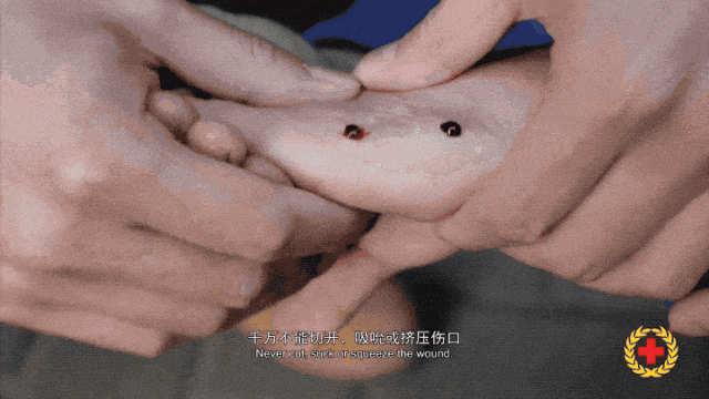 女子半夜上厕所<strong></p>
<p>eth算力</strong>，马桶里突然窜出一条蛇！