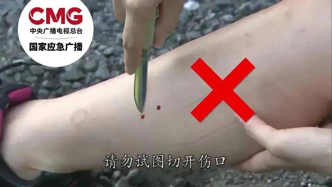 女子半夜上厕所<strong></p>
<p>eth算力</strong>，马桶里突然窜出一条蛇！