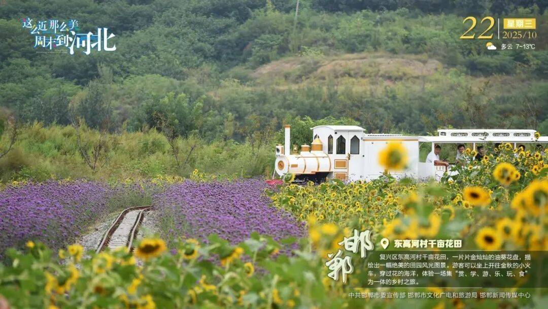 “人工智能+”行动<strong></p>
<p>Eth交易</strong>！河北最新发布