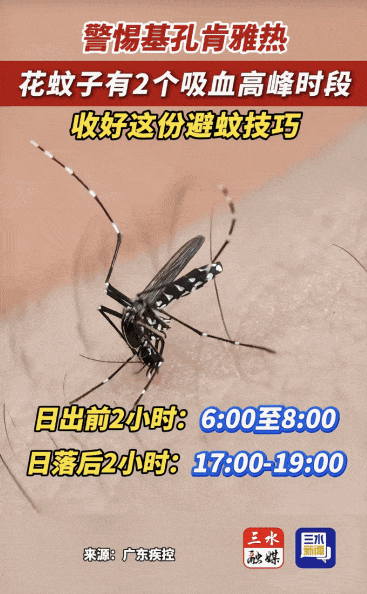 涉学校、公园、城中村<strong></p>
<p>Eth交易</strong>！深圳官方最新公布“黑窝点”