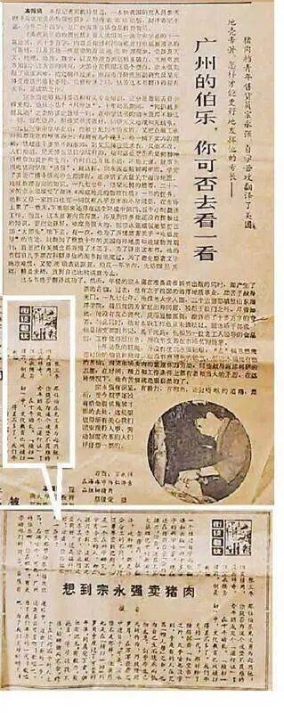 边卖猪肉边自学<strong></p>
<p>eth地址</strong>，三年翻译十多万字，被报道后“逆天改命”成大学教授，他寄语年轻人