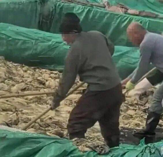 男子在酸菜池内抽烟吐痰<strong></p>
<p>eth价格</strong>,官方通报!