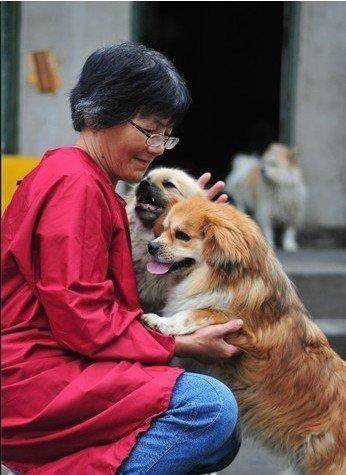 合肥卖房救助流浪狗的魏阿姨离世<strong></p>
<p>eth充值</strong>,病中仍然惦记着基地的600只流浪狗,工人:不敢相信世上还有这样执着的人