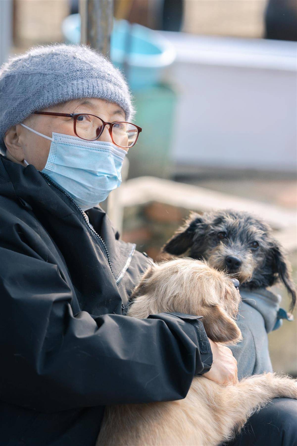 合肥卖房救助流浪狗的魏阿姨离世<strong></p>
<p>eth充值</strong>,病中仍然惦记着基地的600只流浪狗,工人:不敢相信世上还有这样执着的人