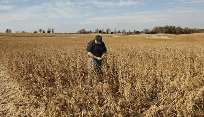 谈妥了又突然变卦！中国复购美国大豆换关税暂停<strong></p>
<p>区块链eth</strong>，美贸易代表直接通告全球：继续查中国