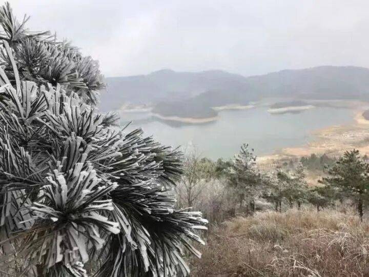 禁止任何形式穿越<strong></p>
<p>区块链eth</strong>!杭州一地发布最严禁令