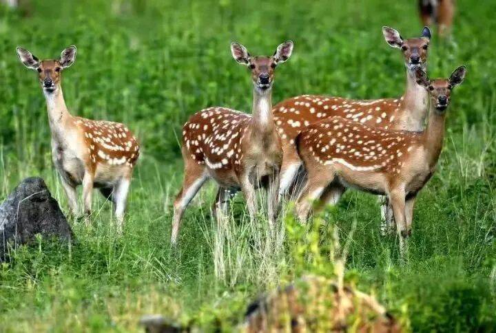 禁止任何形式穿越<strong></p>
<p>区块链eth</strong>!杭州一地发布最严禁令