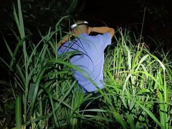 禁止任何形式穿越<strong></p>
<p>区块链eth</strong>!杭州一地发布最严禁令