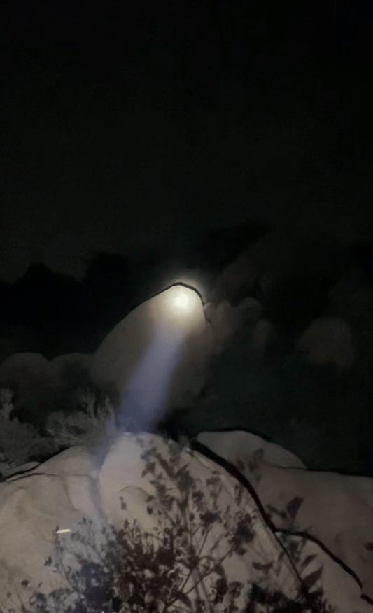 2个大人带3个孩子被困河南深山，男子仅凭山上微光摸黑营救：我对山里环境熟