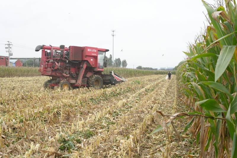 阴雨50天<strong></p>
<p>eth区块链</strong>,他用3200块救回30万斤玉米