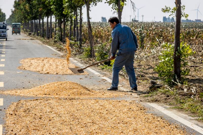 阴雨50天<strong></p>
<p>eth区块链</strong>,他用3200块救回30万斤玉米