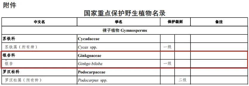 满大街都是银杏树<strong></p>
<p>eth交易平台</strong>，为什么还是濒危物种？