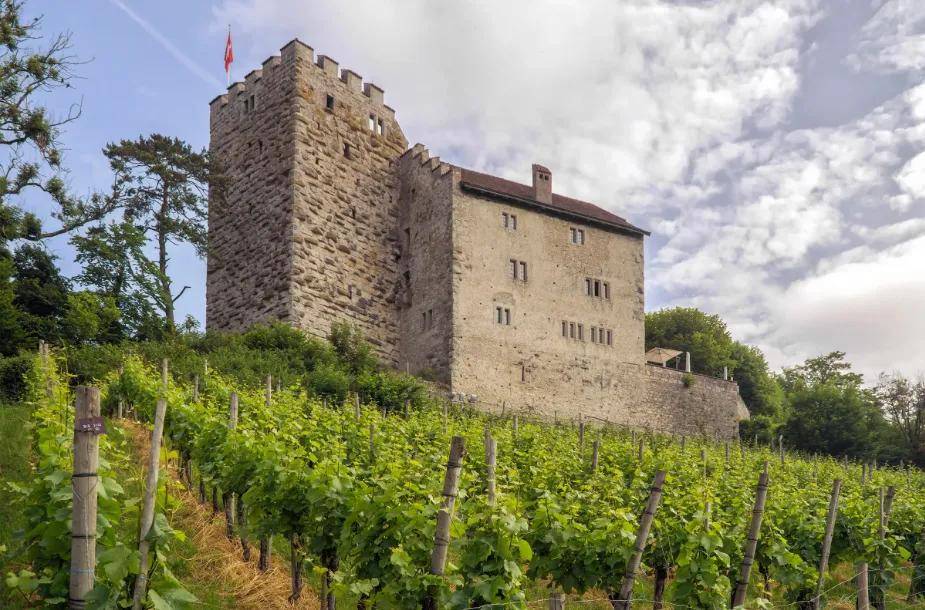 失踪百年的欧洲王室诅咒之钻重现<strong></p>
<p>eth币价格</strong>，背后藏着一位忠贞皇后的惊人布局