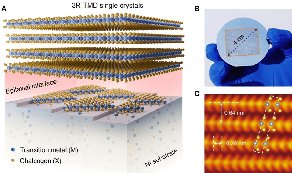 33岁刘灿<strong></p>
<p>比特币</strong>,破格晋升中国人民大学教授
