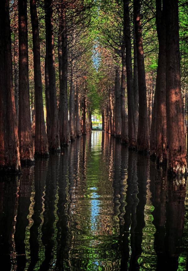 跟着赛事游昆明|一路景观如画<strong></p>
<p>比特币今日行情价格</strong>!2025上合昆明马拉松路线图最新公布→