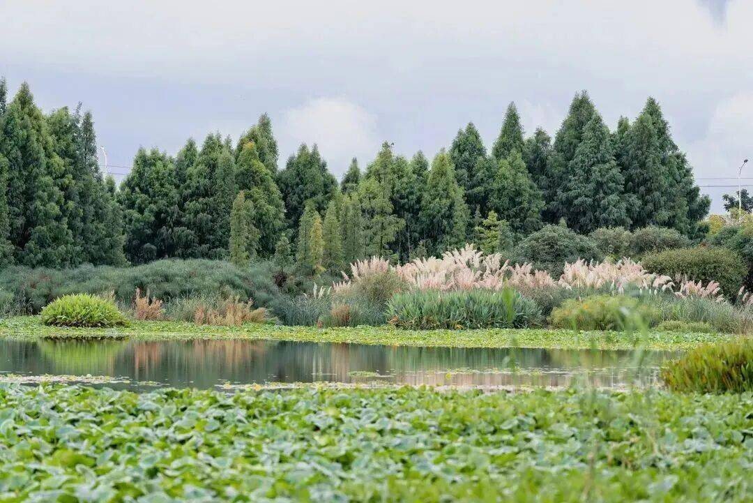 跟着赛事游昆明|一路景观如画<strong></p>
<p>比特币今日行情价格</strong>!2025上合昆明马拉松路线图最新公布→