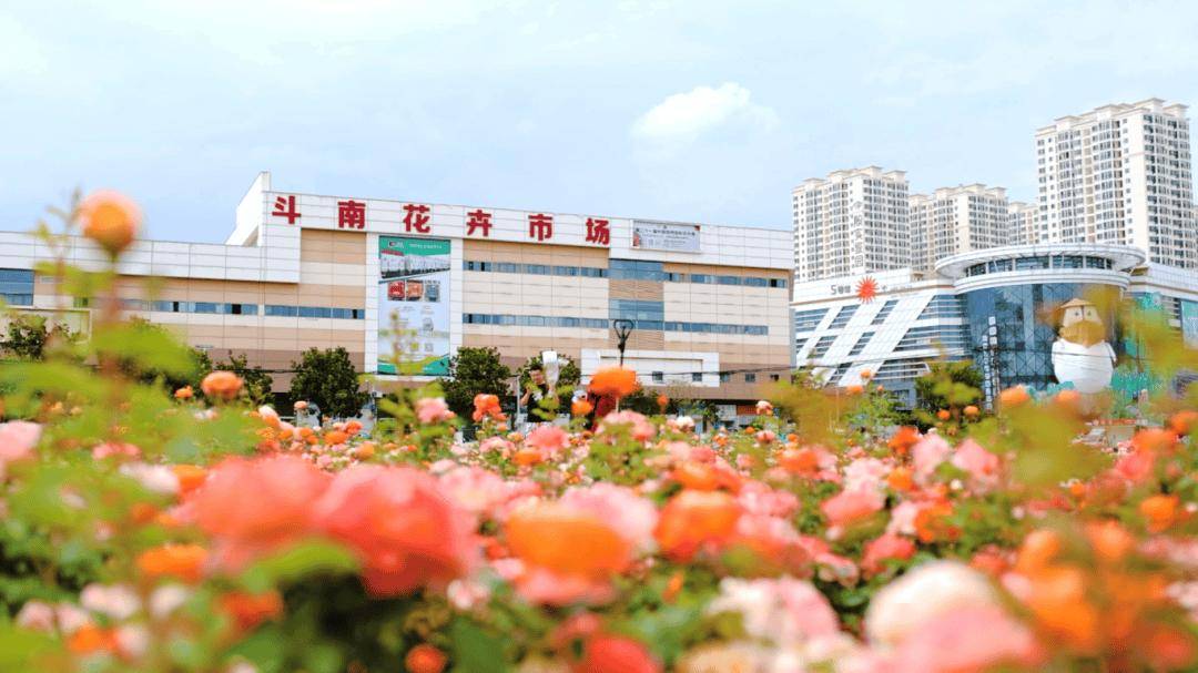 跟着赛事游昆明|一路景观如画<strong></p>
<p>比特币今日行情价格</strong>!2025上合昆明马拉松路线图最新公布→