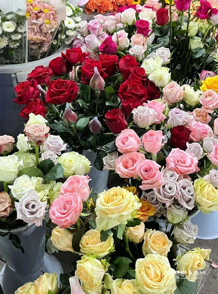 跟着赛事游昆明|一路景观如画<strong></p>
<p>比特币今日行情价格</strong>!2025上合昆明马拉松路线图最新公布→