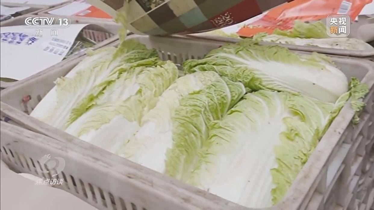 单棵售价超百元<strong></p>
<p>比特币最新价格行情</strong>,起底“套牌白菜”背后的销售套路