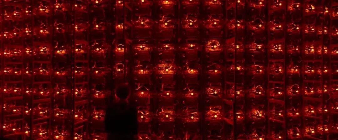 易烊千玺力撑票房但难抵上映口碑两极…《狂野时代》最大的“罪过”<strong></p>
<p>比特币最新价格行情</strong>,是难懂吗?